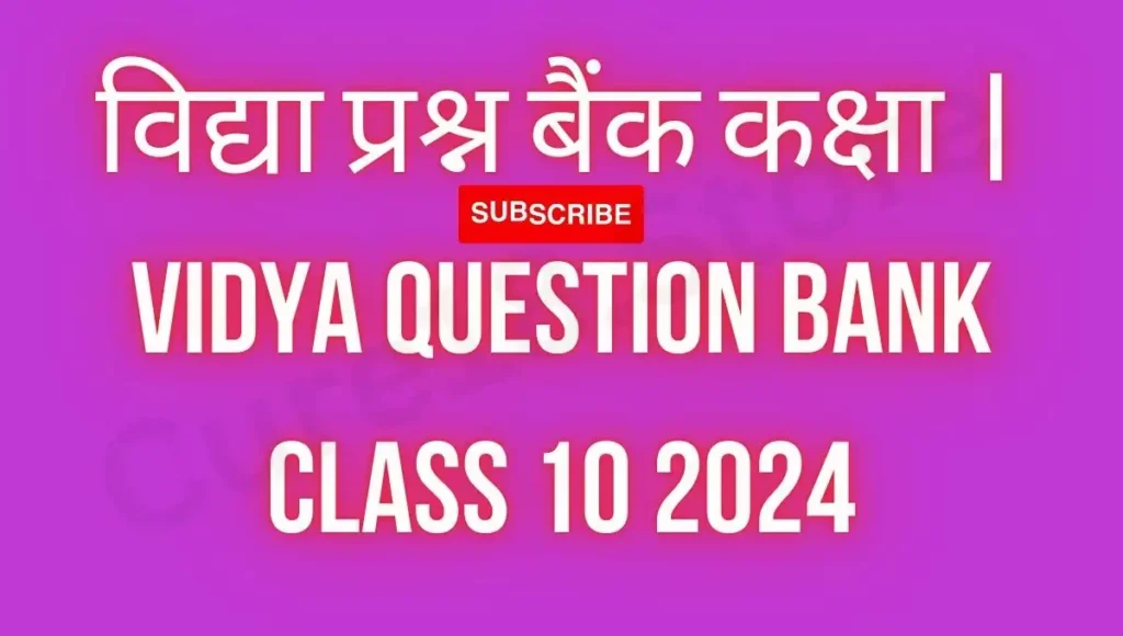 Vidya Question Bank Class 10 2024