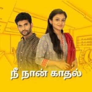 Pani Vizhum Malar Vanam 31-07-2024 Vijay TV Tamil Serial